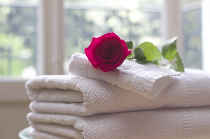 chambre-hote-SERANON-min_towel_rose_clean_care_salon_spa_white_bath-731641